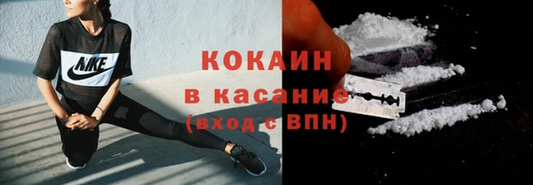 PSILOCYBIN Армянск