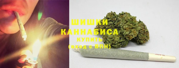 PSILOCYBIN Армянск
