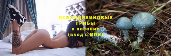 прущая мука Балахна