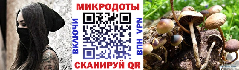Купить где  Видное  Псилоцибиновые грибы Psilocybe 